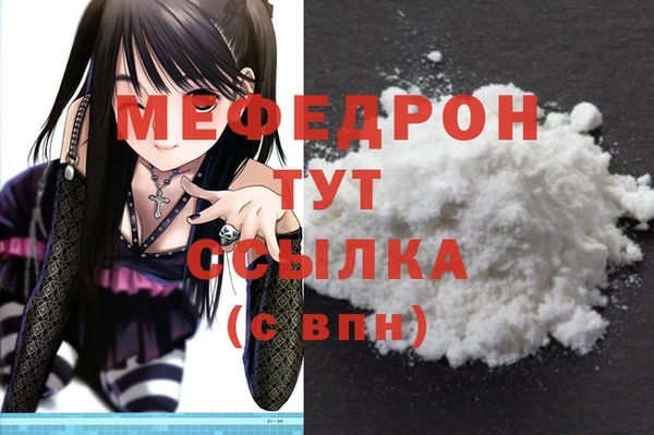 винт Лагань