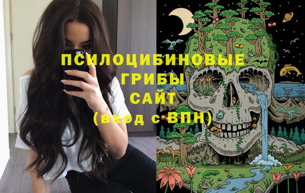 бошки Баксан