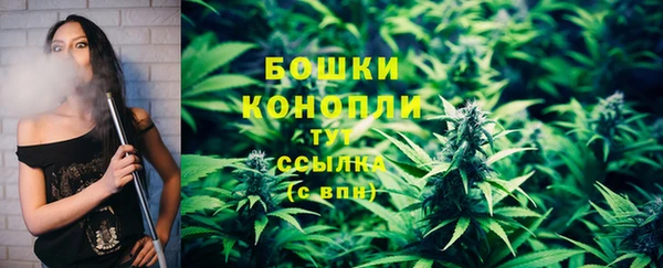 хмурый Балабаново